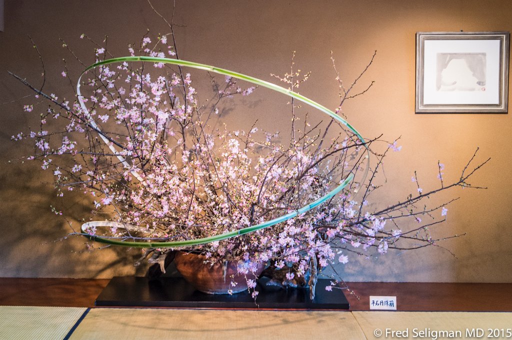 20150310_120135 D4S.jpg - Scenes from a Ikebana (the art of flower arrangement) class, Tokyo.